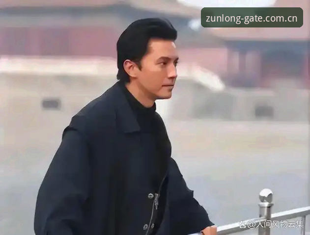 揭秘尊龙数据查询安装失败背后的真相：用户王琪的深度体验报告